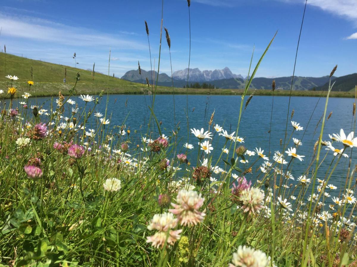Am Zwoelferkogel Appartements Saalbach-Hinterglemm Dış mekan fotoğraf