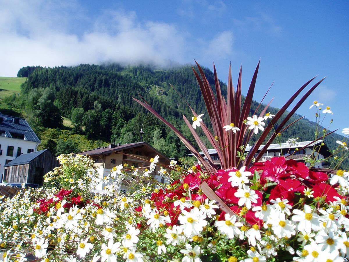 Am Zwoelferkogel Appartements Saalbach-Hinterglemm Dış mekan fotoğraf