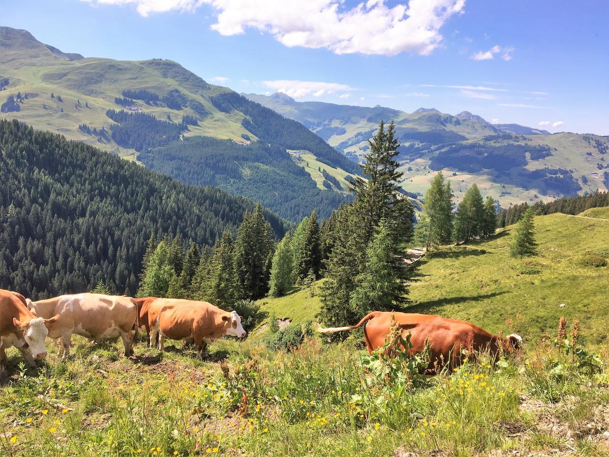 Am Zwoelferkogel Appartements Saalbach-Hinterglemm Dış mekan fotoğraf