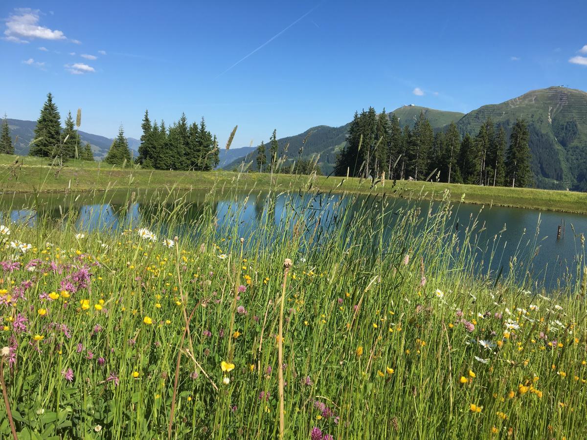 Am Zwoelferkogel Appartements Saalbach-Hinterglemm Dış mekan fotoğraf