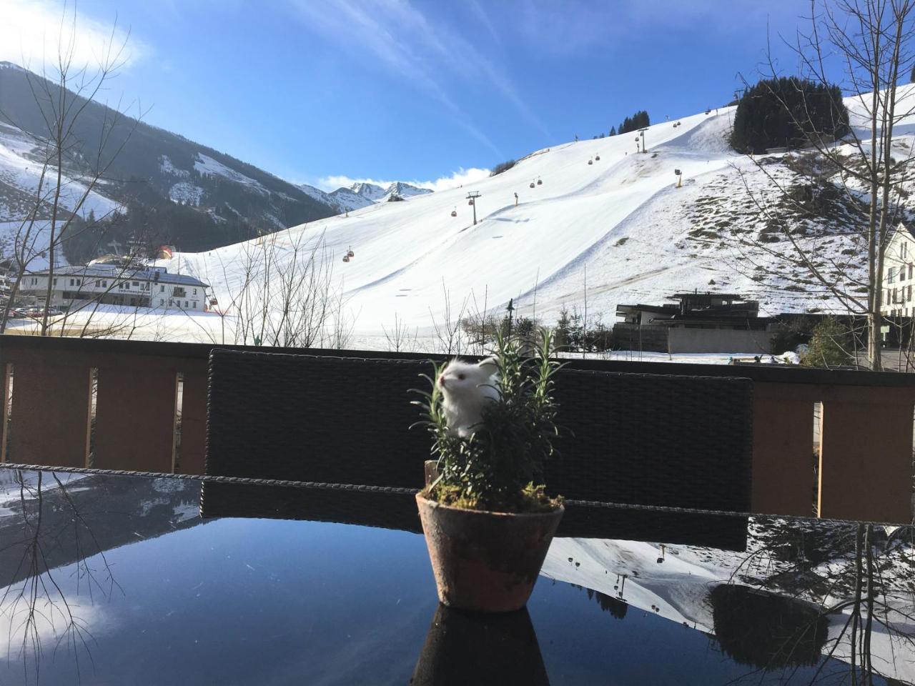 Am Zwoelferkogel Appartements Saalbach-Hinterglemm Dış mekan fotoğraf